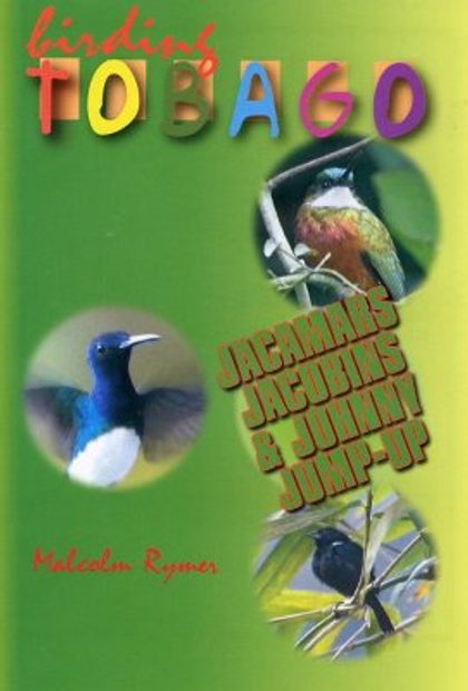 Birding Tobago (All Regions)
