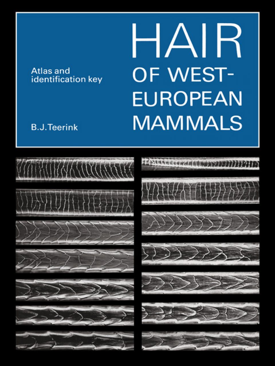 Hair Of West European Mammals Atlas And Identification Key