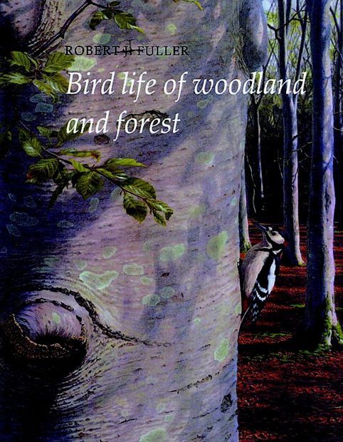 Bird Life of Woodland and Forest