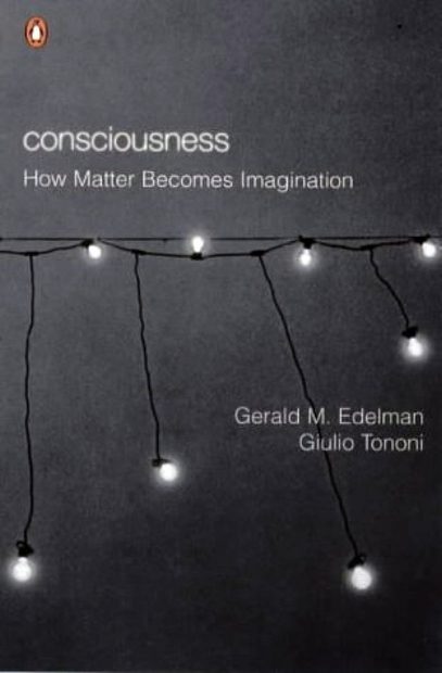 Consciousness: How Matter Becomes Imagination