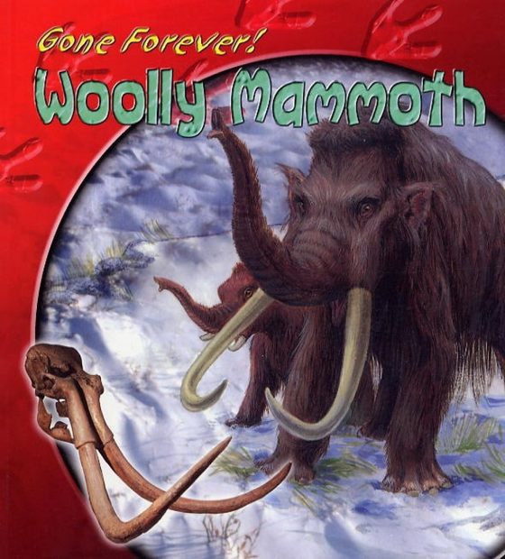 Woolly Mammoth