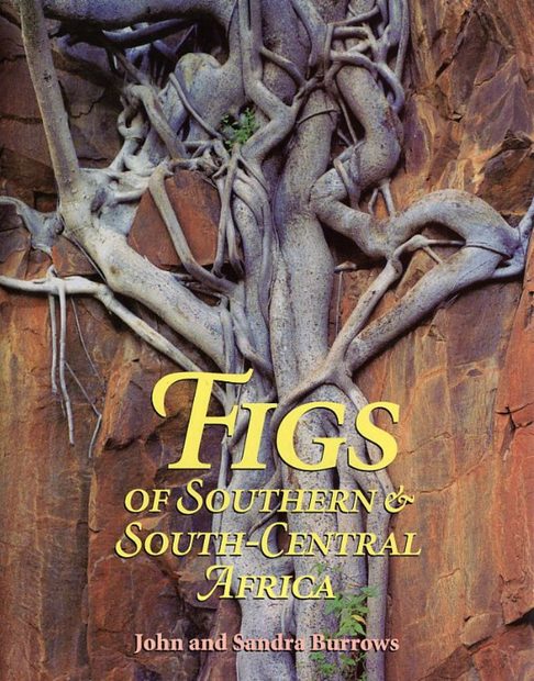 Figs of Southern and South-Central Africa