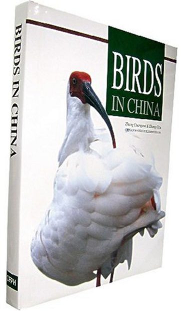 Birds in China