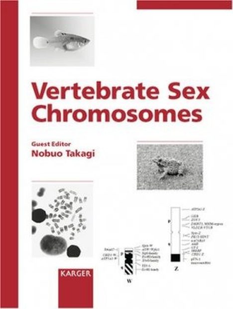 Vertebrate Sex Chromosomes