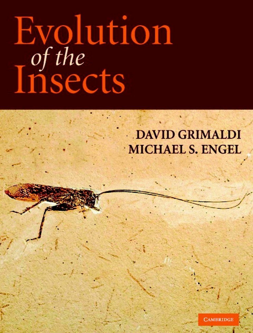 Evolution of the Insects NHBS Academic and Professional Books pic