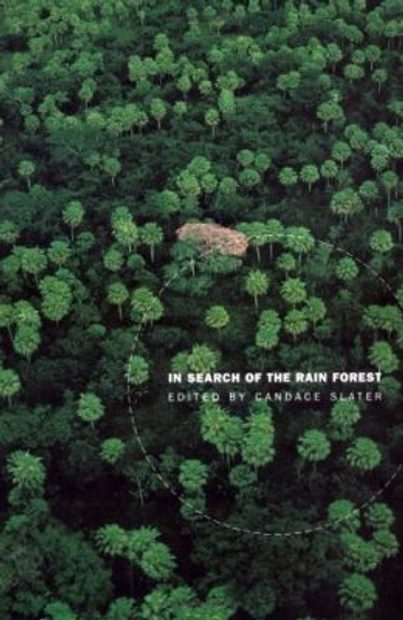 In Search of the Rainforest