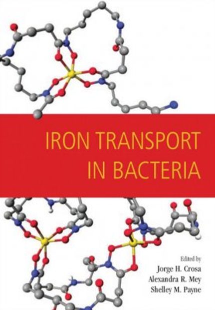 Iron Transport in Bacteria