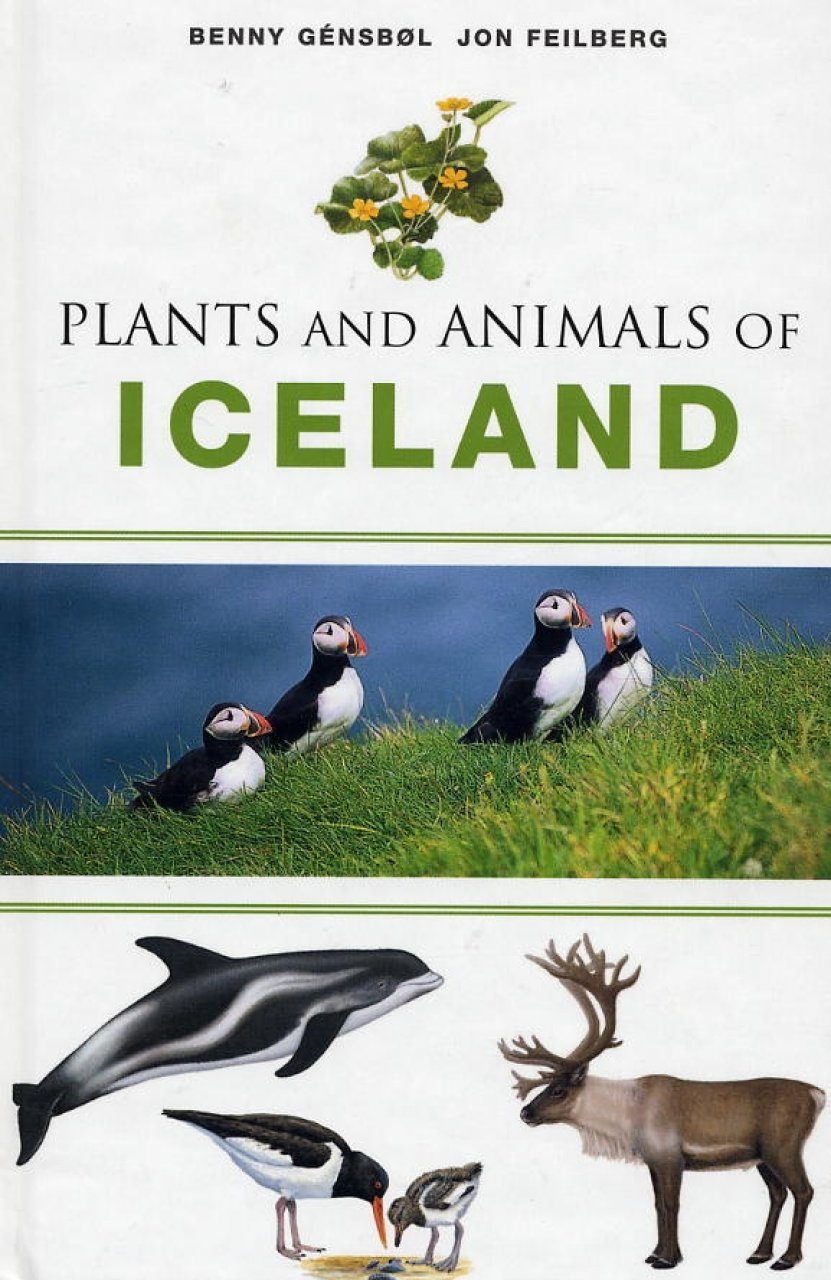 Plants and Animals of Iceland | NHBS Field Guides & Natural History