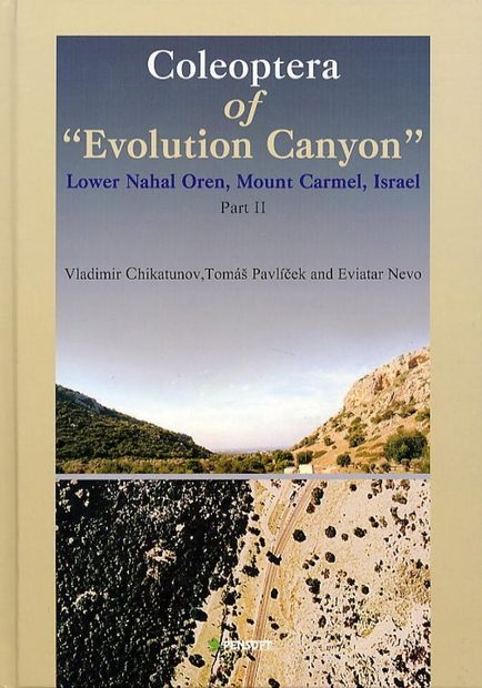 Coleoptera of "Evolution Canyon"