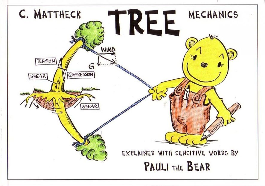 Tree Mechanics
