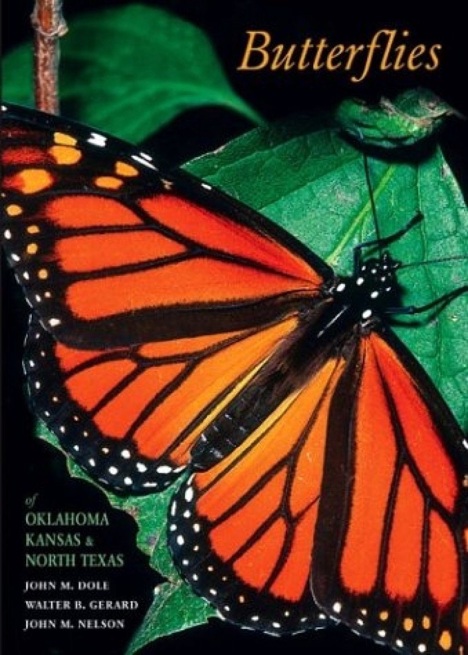 Butterflies Of Oklahoma Kansas And North Texas