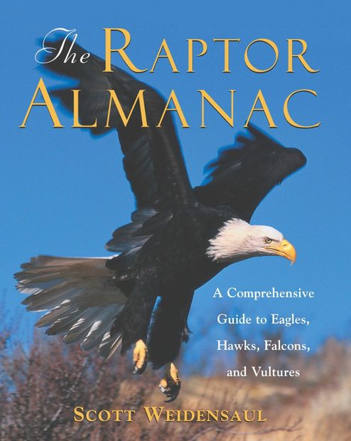 The Raptor Almanac