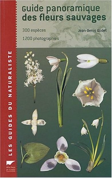 Guide Panoramique des Fleurs Sauvages