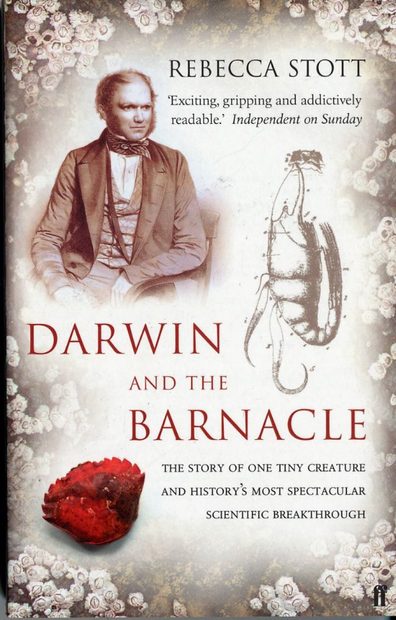 Darwin and the Barnacle