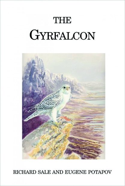 The Gyrfalcon