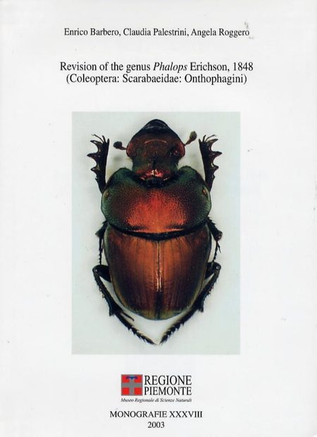 Revision of the Genus Phalops Erichson, 1848