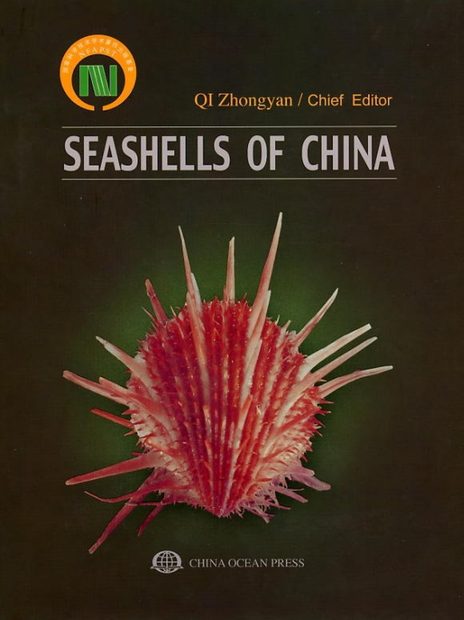 Seashells of China