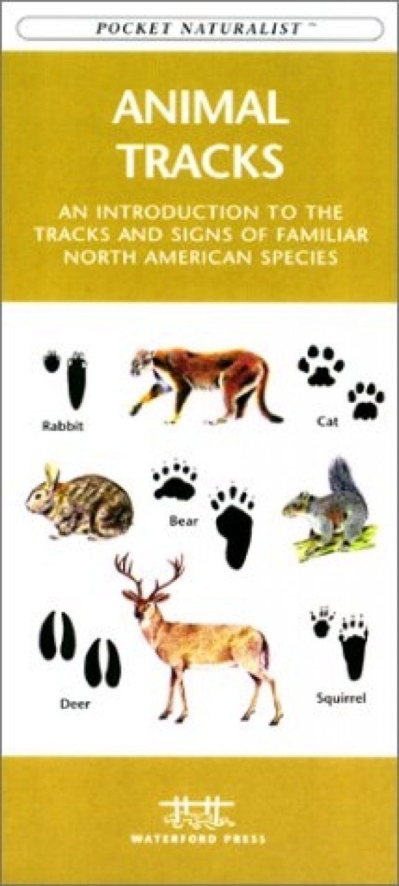 Animal Tracks | NHBS Academic & Professional Books