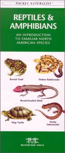 Reptiles and Amphibians