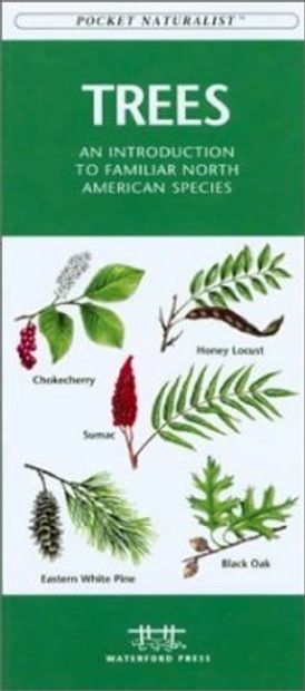 Trees: An Introduction to Familiar North American Species