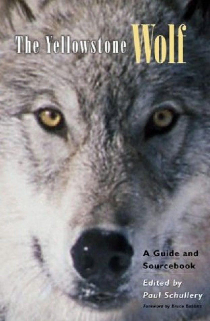 The Yellowstone Wolf: A Guide and Sourcebook | NHBS Academic ...