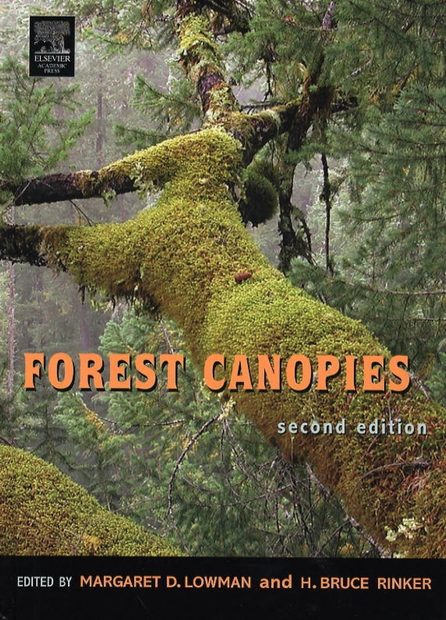Forest Canopies
