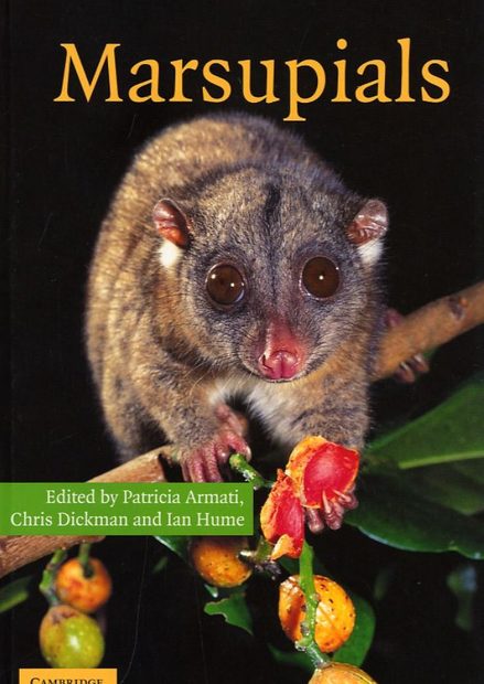 Marsupials