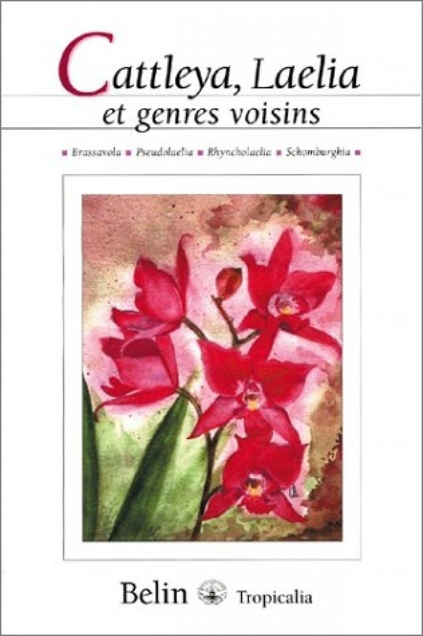 Cattleya, Laelia et Genres Voisins (Brassavola, Pseudolaelia ...