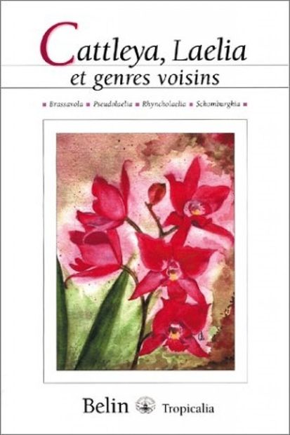 Cattleya, Laelia et Genres Voisins (Brassavola, Pseudolaelia, Rhynocholaelia, Schomburgkia)