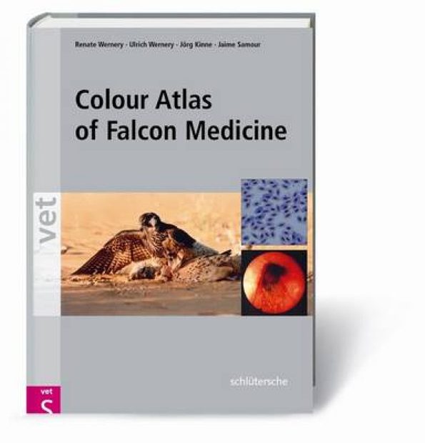 Colour Atlas of Falcon Medicine