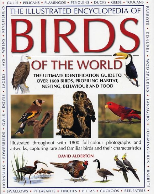 The Illustrated Encyclopedia of Birds of the World | NHBS Field Guides ...