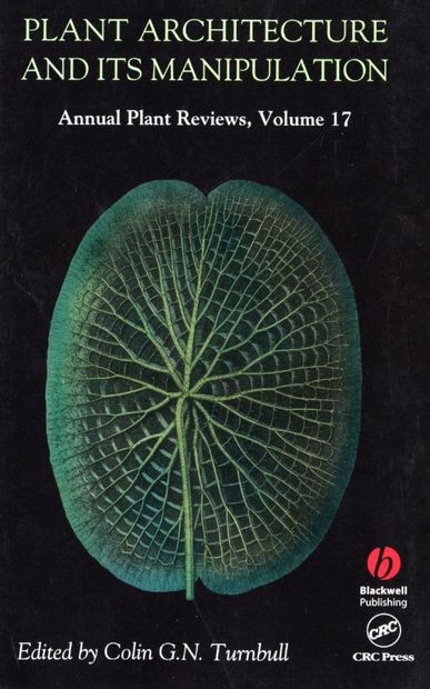 Plant Architecture and its Manipulation