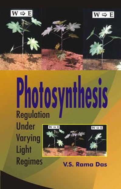 Photosynthesis: Regulation Under Varying Light Regimes