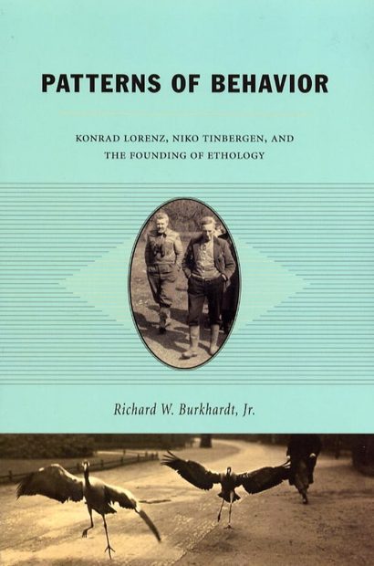 Patterns of Behavior