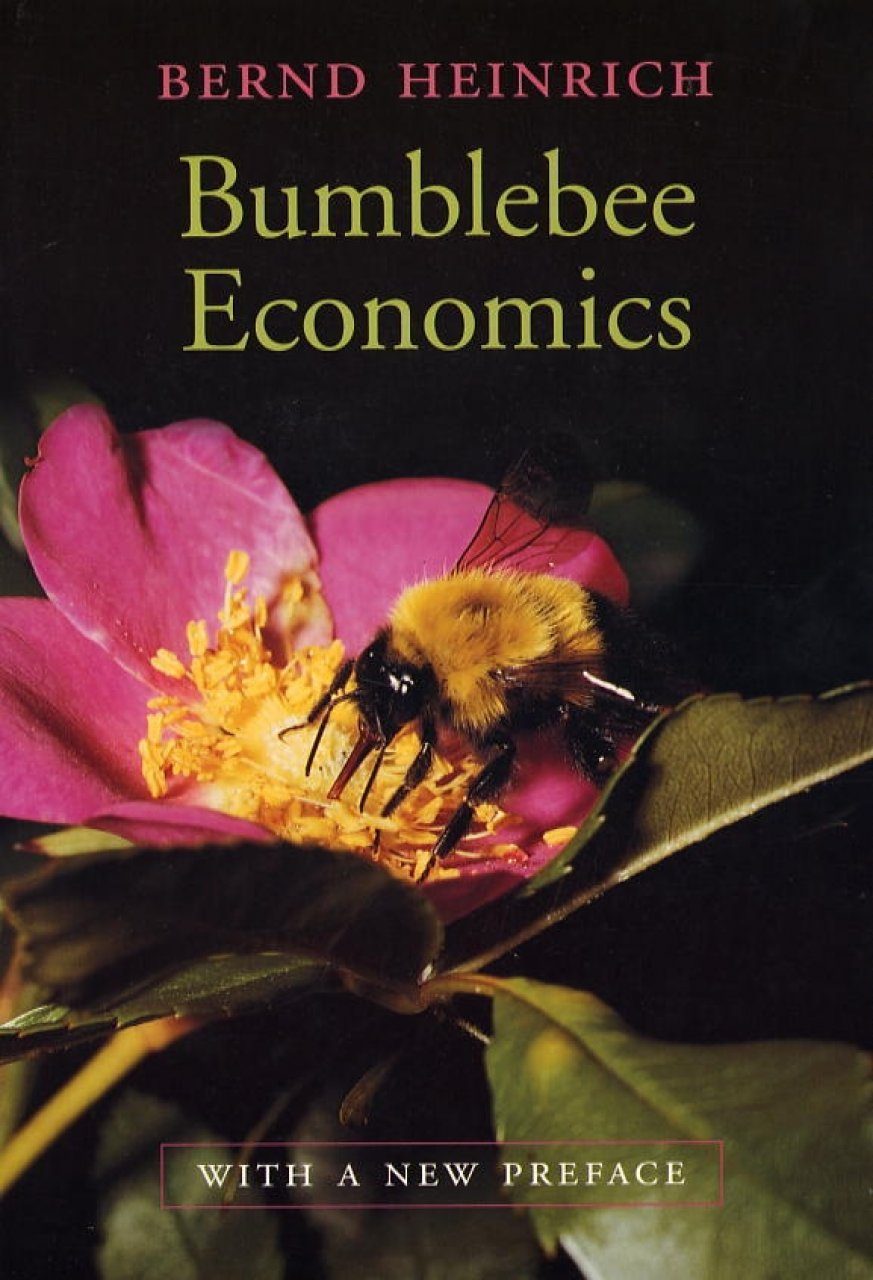 Bumblebee Economics Nhbs Academic Amp Professional Books