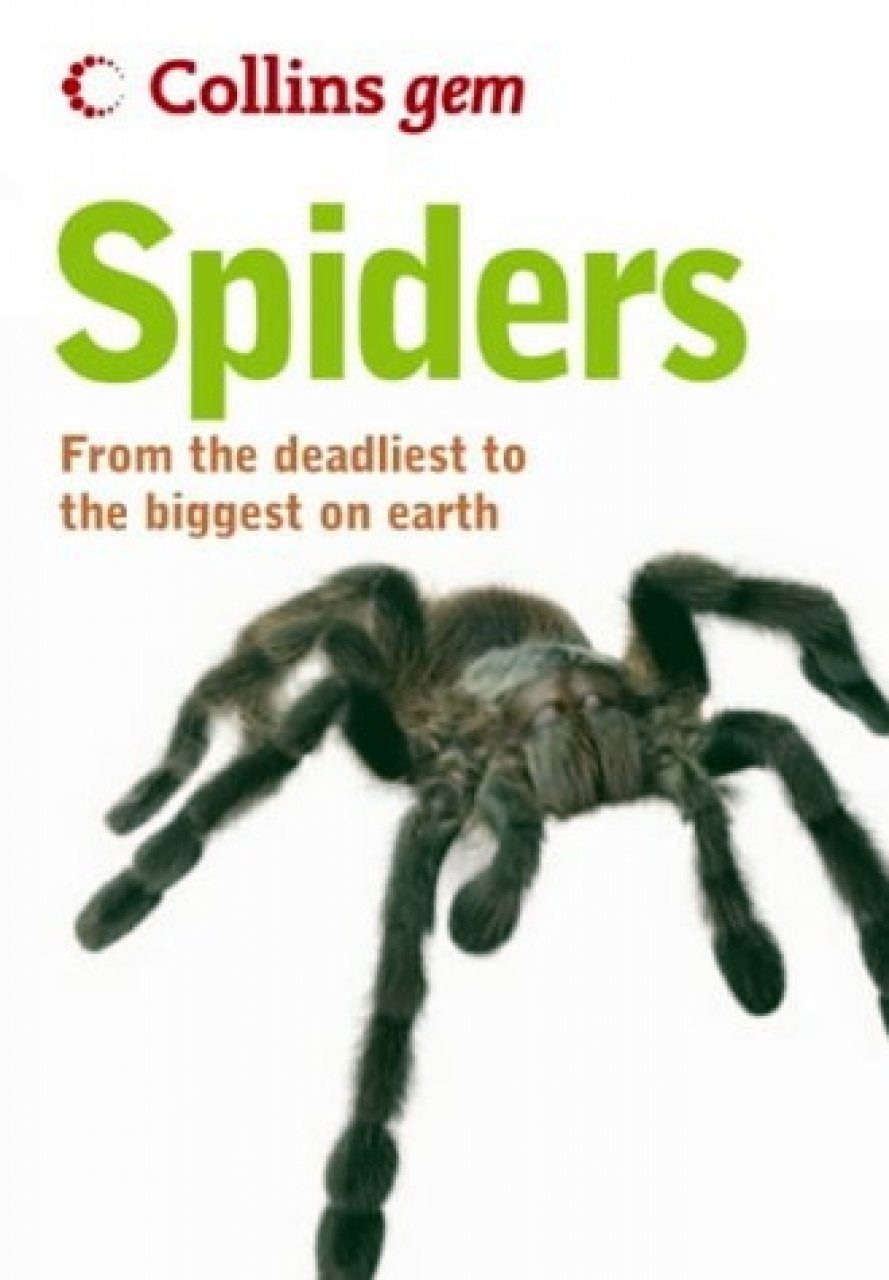 Collins Gem Guide Spiders Nhbs Field Guides Amp Natural