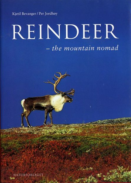 Reindeer: The Mountain Nomad