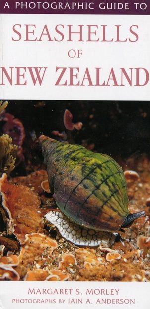 A Photographic Guide to Seashells of New Zealand