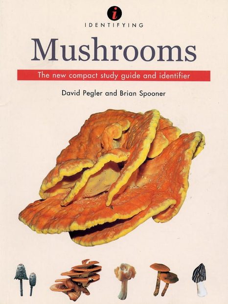 Identifying Mushrooms: The New Compact Study Guide and Identifier ...