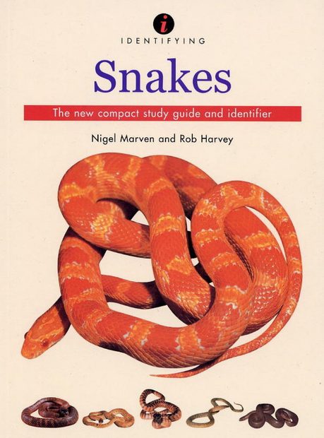 Identifying Snakes | NHBS Academic & Professional Books