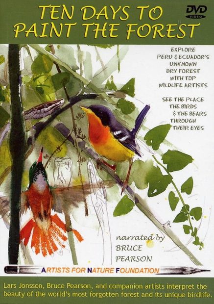 Ten Days to Paint the Forest (All Regions)