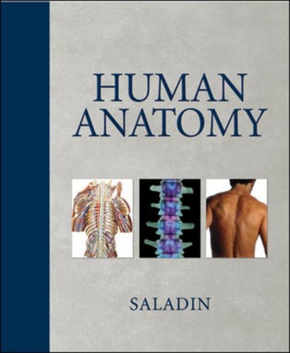 Полый человек книга. Анатомия человека книга. Тесты книги анатомии человека. Руководство интуитивная анатомия pdf.
