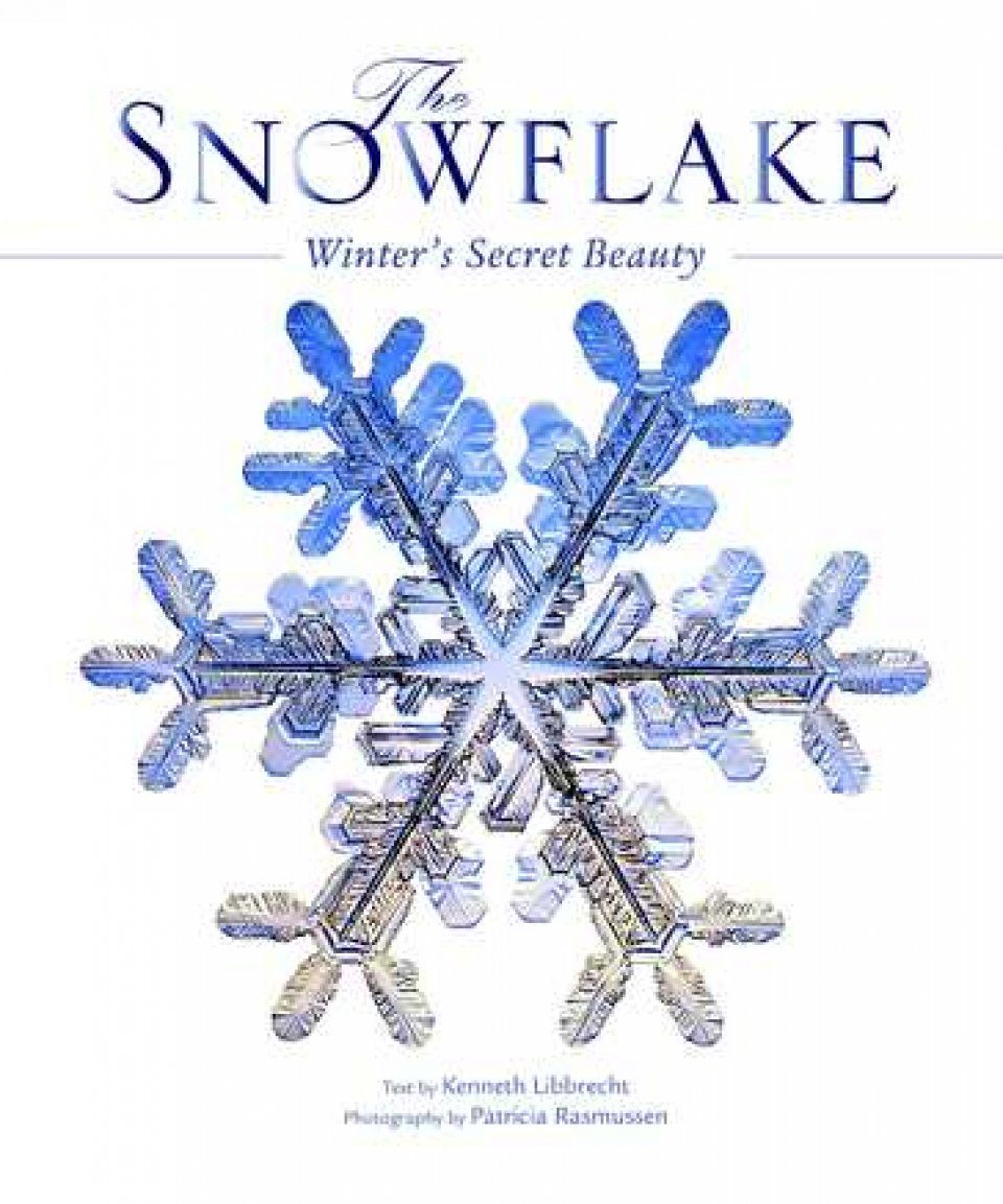 Winter secret. Кеннет Либбрехт. Danger Radio. Cinder among the snowflakes.. The Snowflake man History