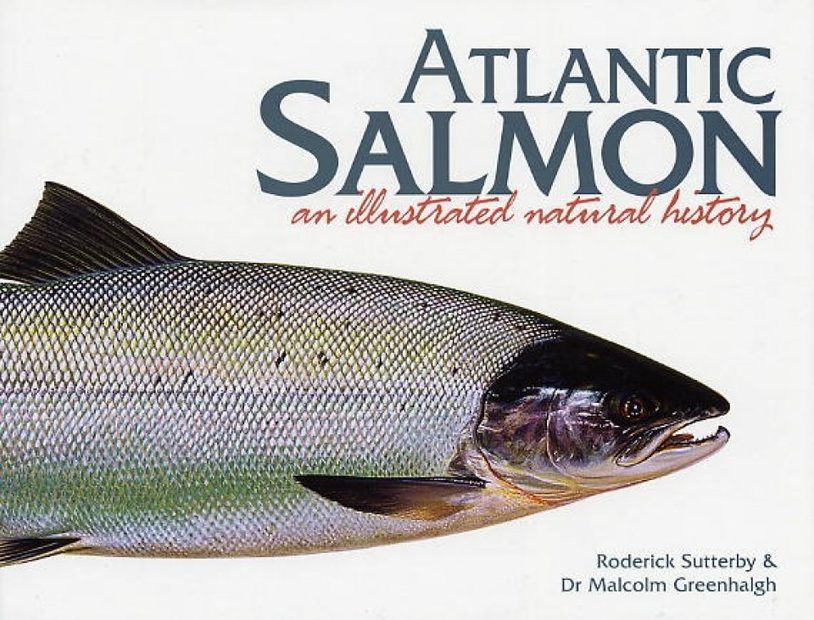 Atlantic Salmon