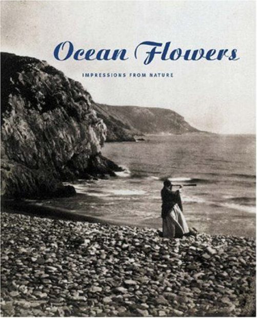 Ocean Flowers