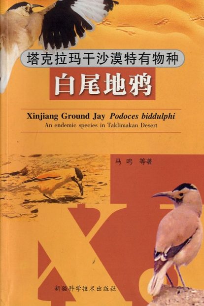 Xinjiang Ground Jay (Podoces biddulphi) [Chinese]