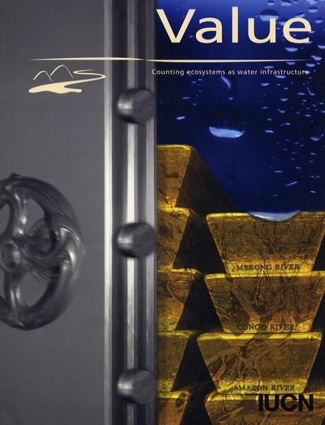 Value - Counting Ecosystems as an economic Part of Water Infrastructure