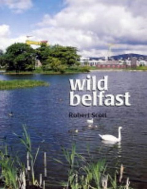 Wild Belfast