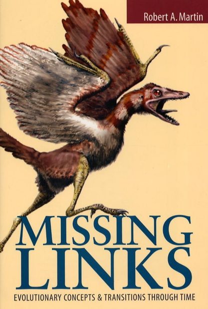 Missing Links: Evolutionary Concepts and Transitions Through Time