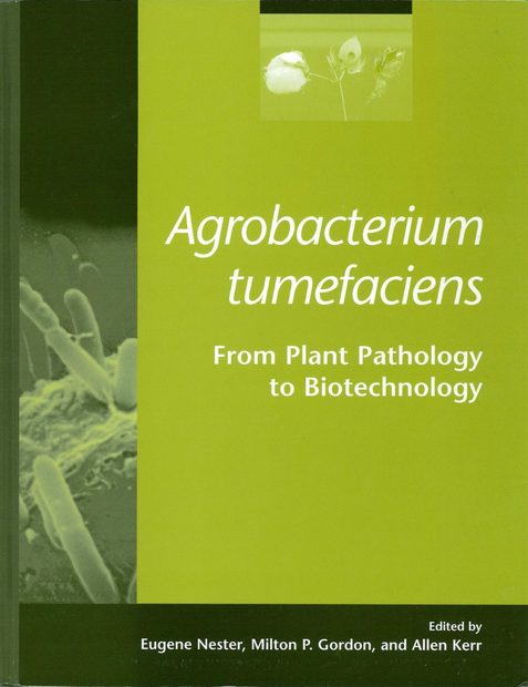Agrobacterium tumefaciens